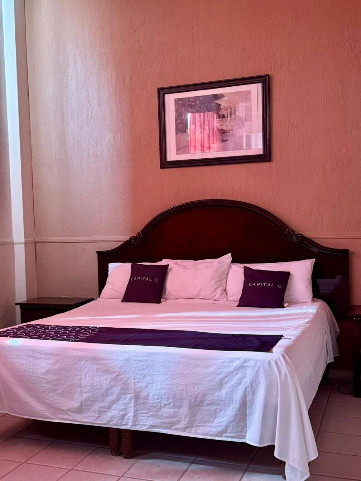 Hotel Marney アグアスカリエンテス エクステリア 写真